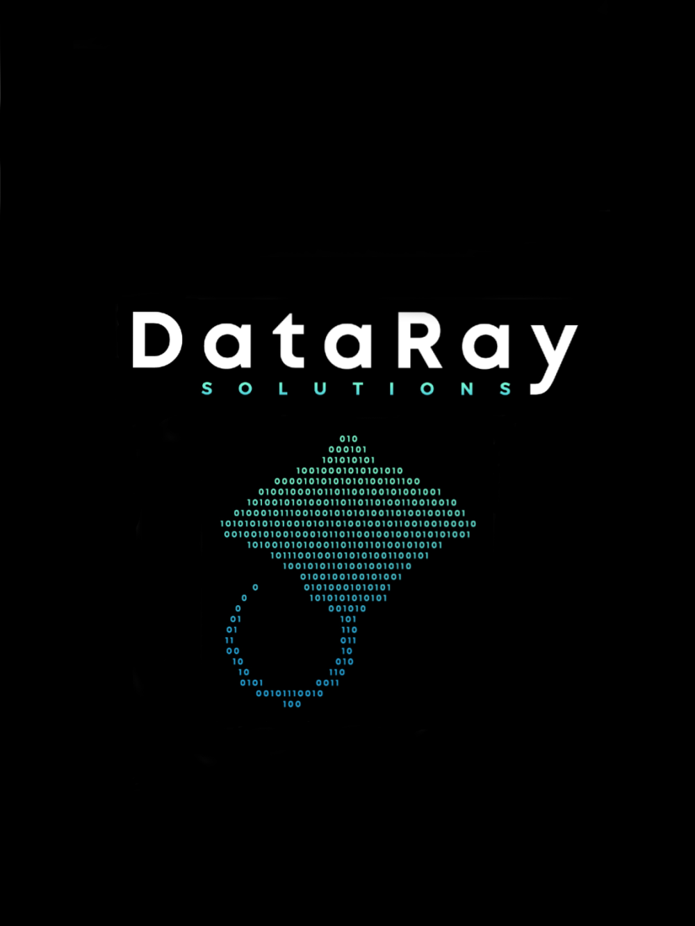 DataRay-Verticalv2.png